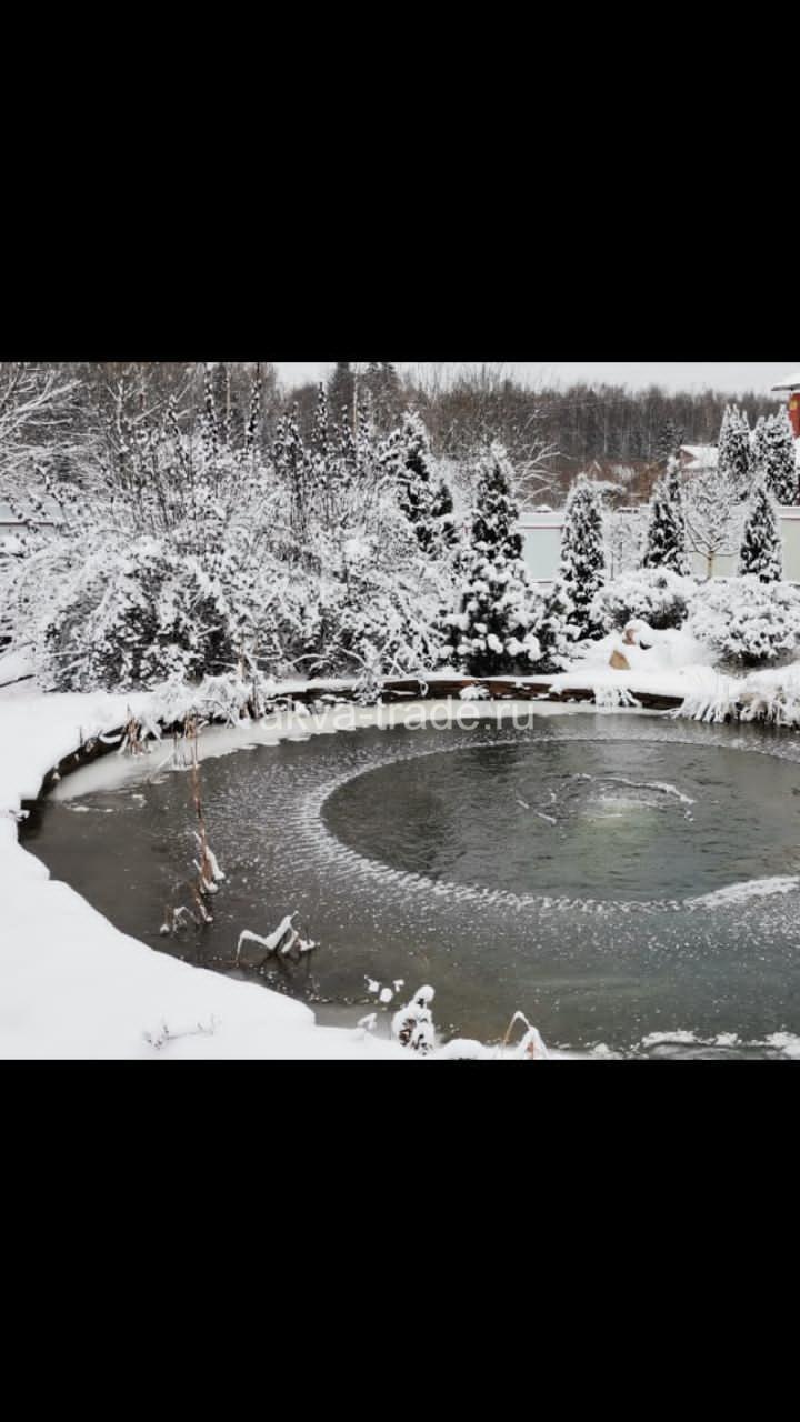 Пруд с лилиями