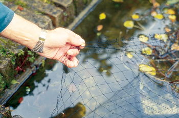 картинка Сетка для защиты пруда от листвы AquaNet pond net 1 (3 × 4) OASE от магазина Аква Трейд